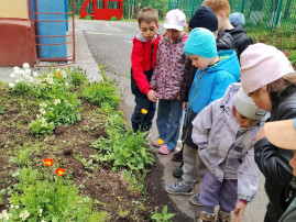"На прогулке мы гуляем, за природой наблюдаем" "На прогулке мы гуляем, за природой наблюдаем".