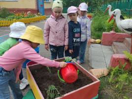 Посадили мы цветы, чтобы было больше красоты! Посадили мы цветы, чтобы было больше красоты!.