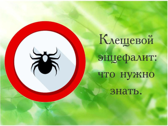 "Горячая линия" по профилактике клещевого энцефалита и инфекций, передающихся клещами "Горячая линия" по профилактике клещевого энцефалита и инфекций, передающихся клещами.